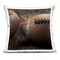 Stupell Industries Be The Ball Football Decorative Printed Throw Pillow design by Kim Allen, 18 x 7 x 18